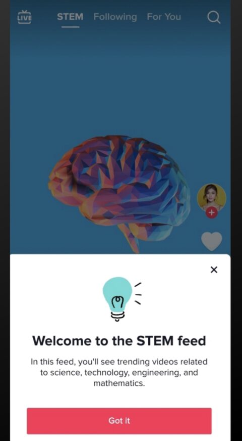 TikTok Introduces STEM Feed: Safe, Educational Content