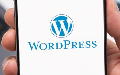WordPress Gives WP Engine Users A Reprieve