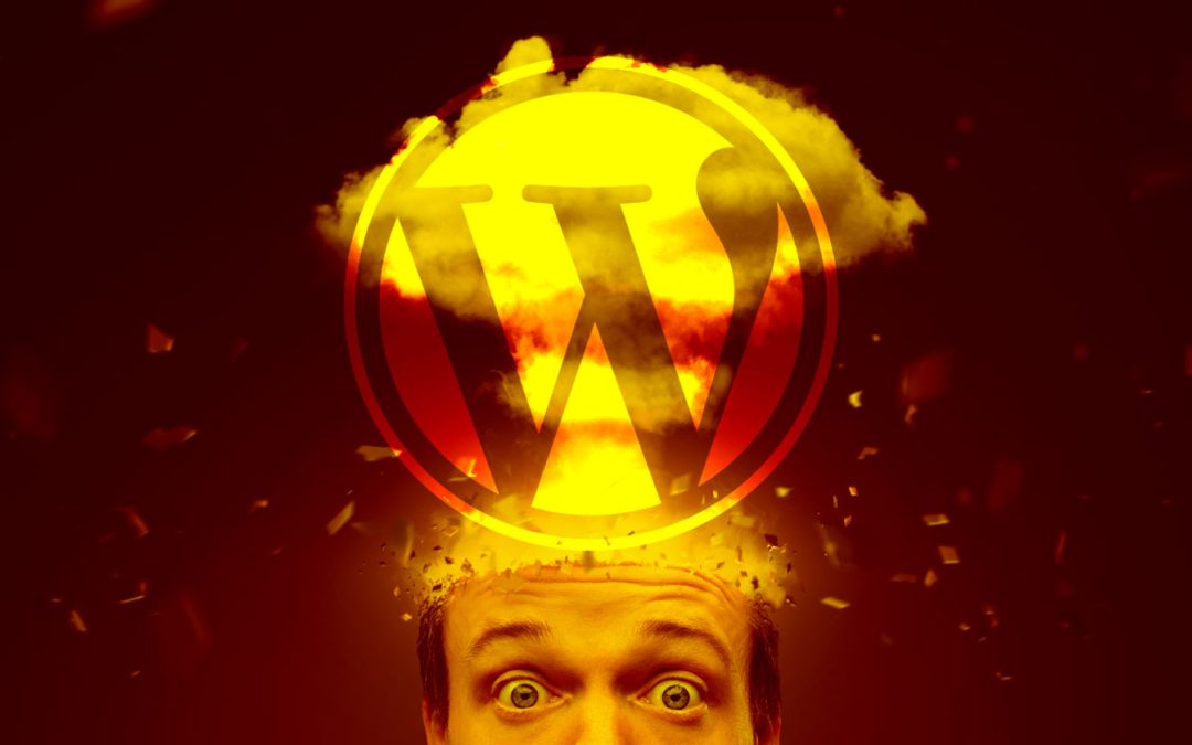 Mullenweg Considers Delaying WordPress Releases Through 2027