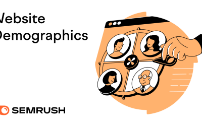 What Are Website Demographics? [Explained]