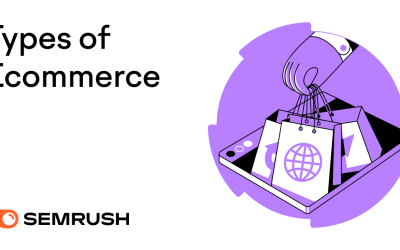 6 Types of Ecommerce Business Models + Examples